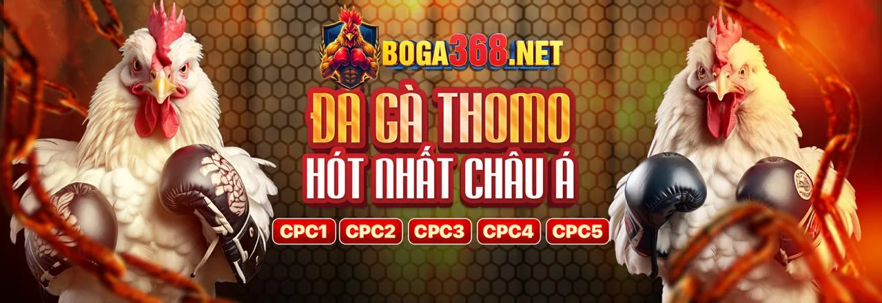 Hình ảnh chính của blog V6BET Link Mới với các trò chơi cá cược và khuyến mãi hấp dẫn